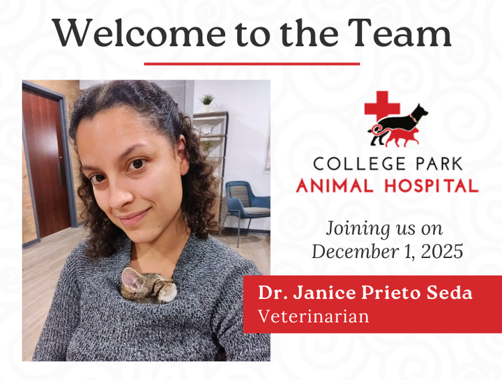 Welcome Dr. Prieto Seda