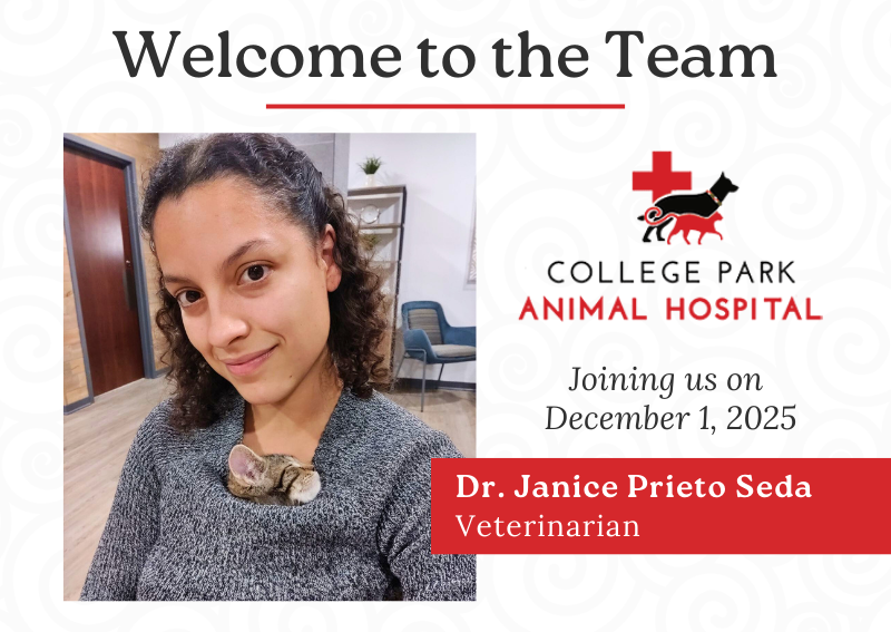 Carousel Slide 1: Welcome Dr. Prieto Seda