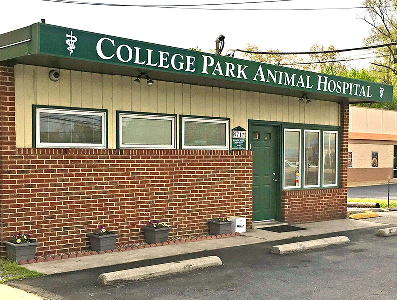 College Park Animal Hospital | College Park MD pet hospital