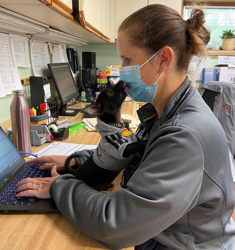 College Park Veterinary Careers